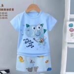 Baby short sleeve t-shirt set